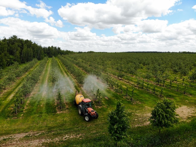 Um trator vermelho pulveriza pesticidas em um pomar de maçã pulverizando uma macieira com um trator