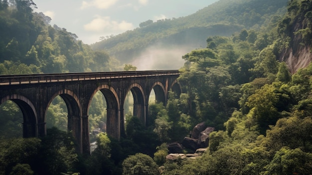 Um trem atravessando uma ponte na selva