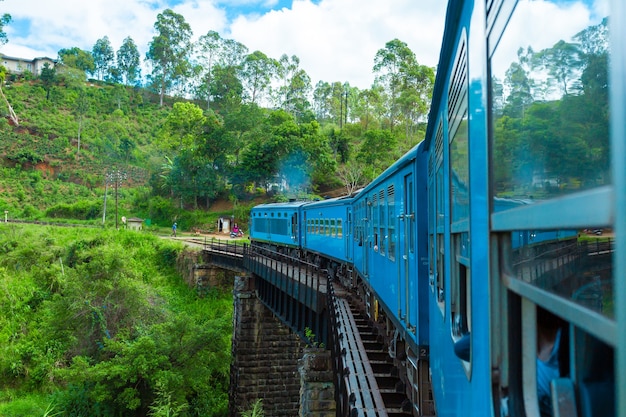 Um trem de passageiros azul se move pela selva do Sri Lanka.