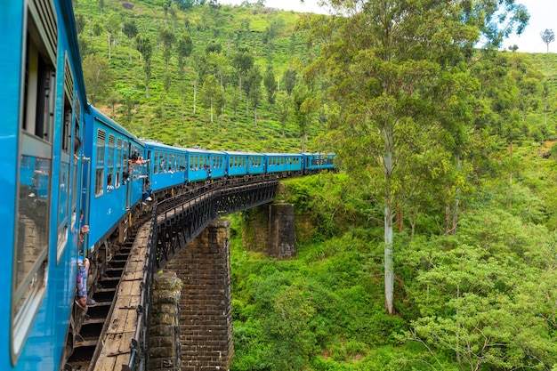 Um trem de passageiros azul se move pela selva do Sri Lanka.