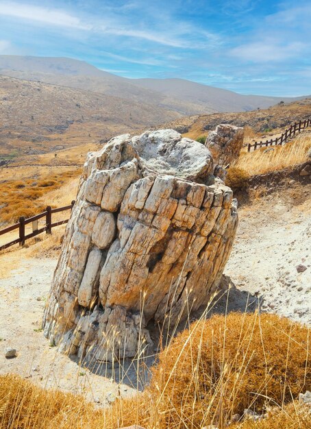 Um tronco de árvore fossilizado do Geoparque da UNESCO Floresta Petrificada de Sigri, na ilha de Lesbos, na Grécia.