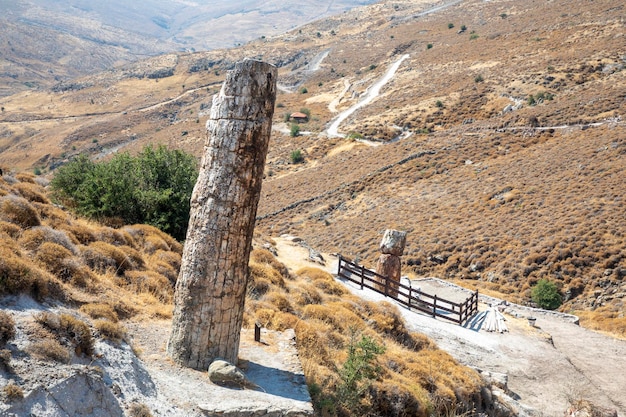 Um tronco de árvore fossilizado do Geoparque da UNESCO "Floresta Petrificada de Sigri" na ilha de Lesvos, na Grécia. Grécia Lesbos floresta fóssil