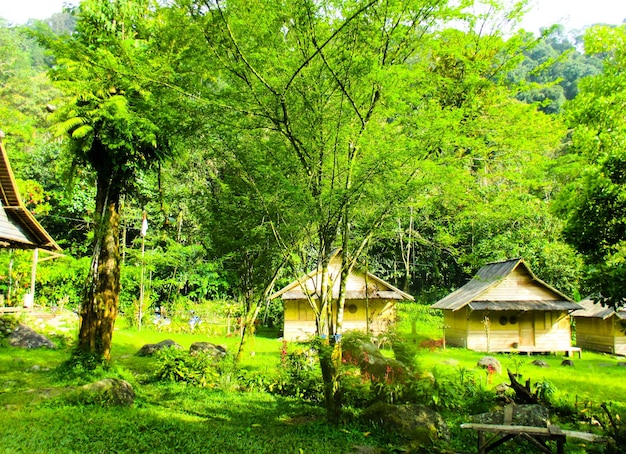 Um turista muito bonito e legal ou objeto de acampamento