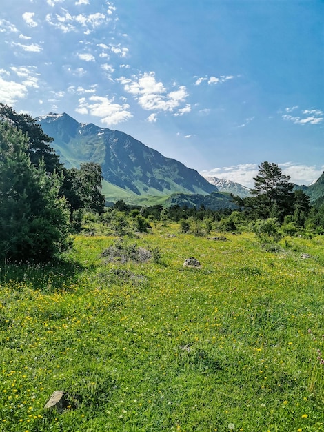 Um vale de montanha no desfiladeiro do rio CherekBalkar nas proximidades do trato de Ushtulu Cáucaso 2021