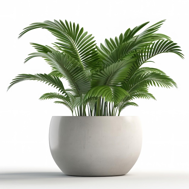 Um vaso branco com uma planta que diz palmeiras.