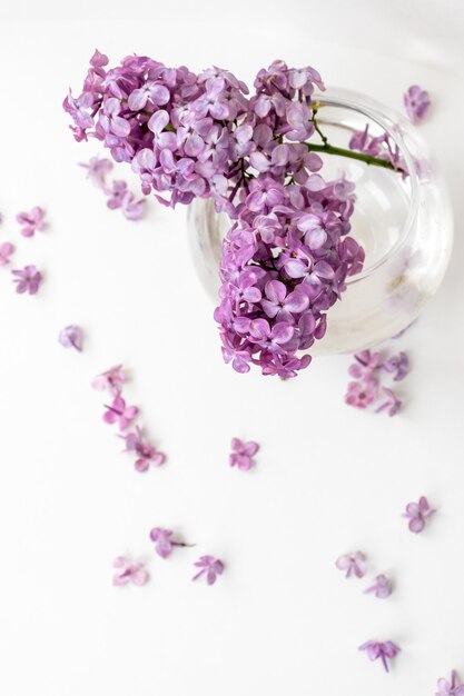 Um vaso de água com flores lilases flutuando nele