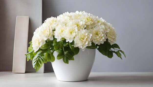 um vaso de flores branco com flores brancas nele