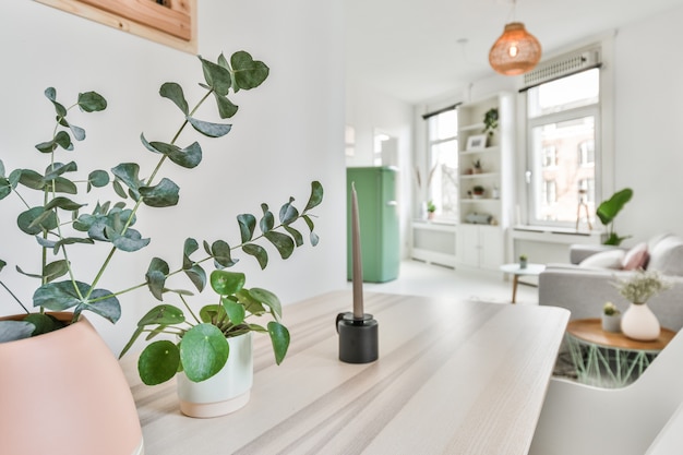 Um vaso de flores e uma vela em um quarto espaçoso