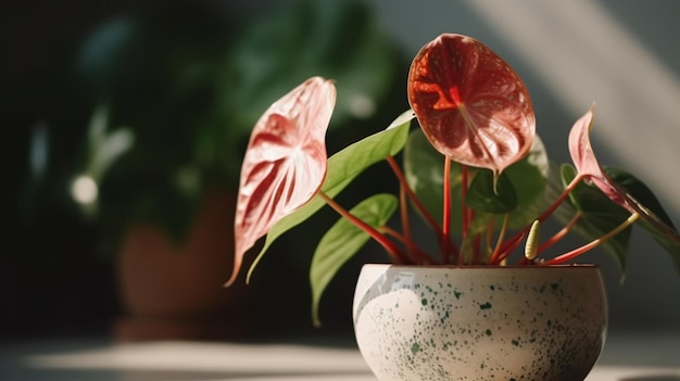 Um vaso de plantas com uma flor rosa