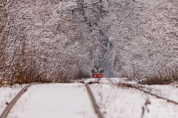 Um velho bonde se movendo por uma floresta de inverno