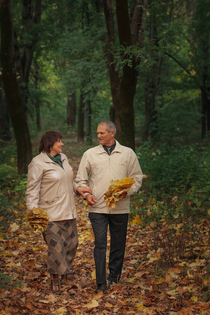 Um velho casal de aposentados caminha em um parque de outono, dá as mãos, ri e recolhe folhas douradas.