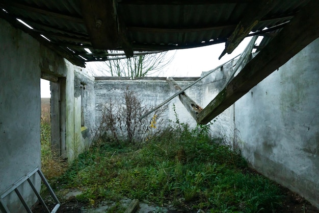 Um velho edifício arruinado sem janelas e portas no meio do campo Paisagem utópica de outono O telhado desabou e coberto de musgo