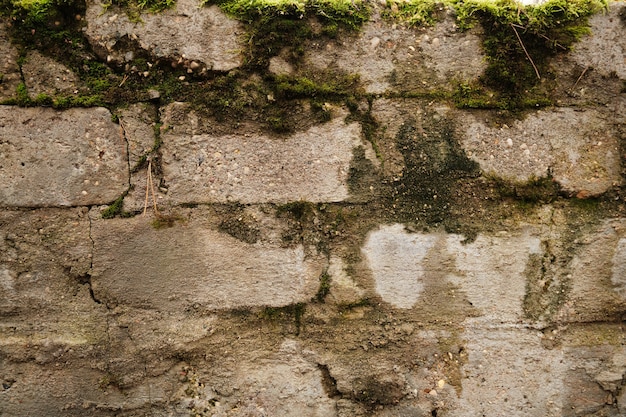 Um velho muro de pedra coberto de musgo verde