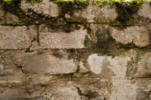 Um velho muro de pedra coberto de musgo verde