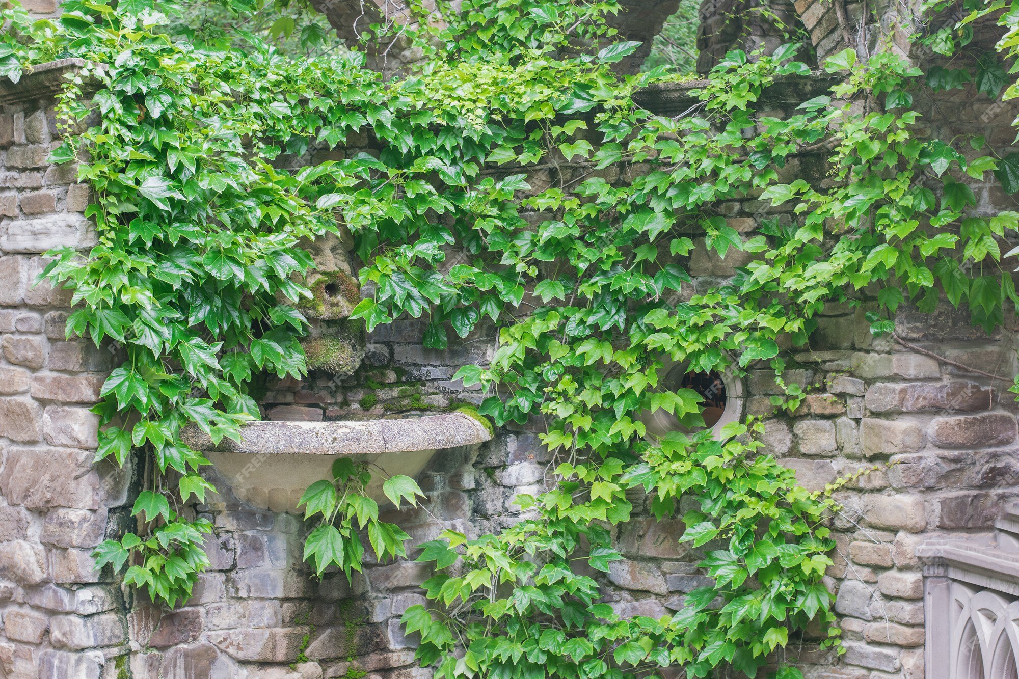 Muro De Pedra Com Musgo E Plantas Verdes. Captura De Reforço Da Via De  Cobertura. Pavimentação De Pedra Natural No Parque Próximo. Imagem de Stock  - Imagem de velho, estrutura: 262768673