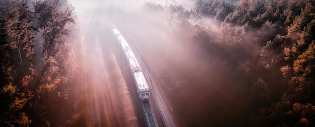 Um velho trem de passageiros se move pela floresta ao amanhecer