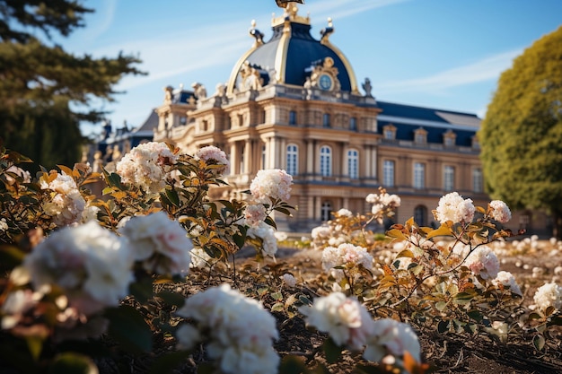 Um vislumbre dos Jardins Reais e do Céu