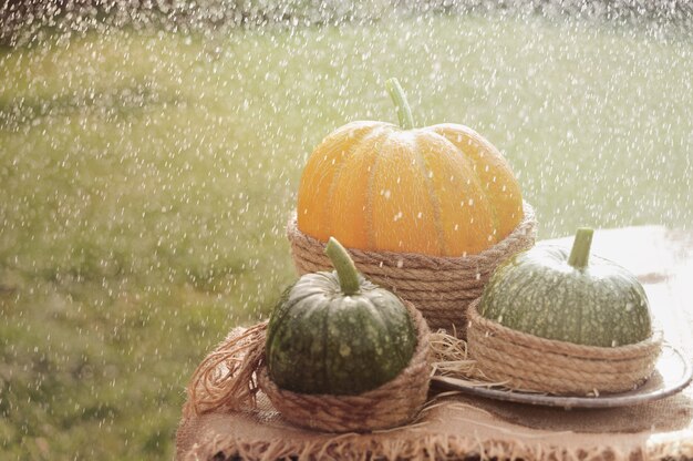 Uma abóbora laranja e duas abóbora verde na mesa de madeira decorada estopa e corda. Sob chuva. Ao ar livre.