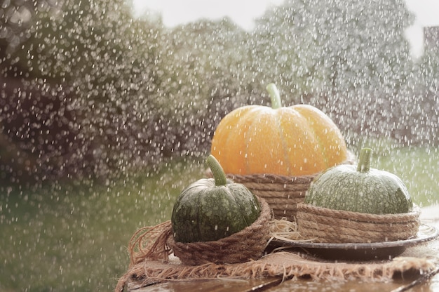 Uma abóbora laranja e duas abóbora verde na mesa de madeira decorada estopa e corda. Sob chuva. Ao ar livre.