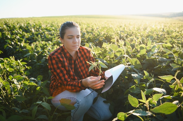 Uma agricultora no campo de soja