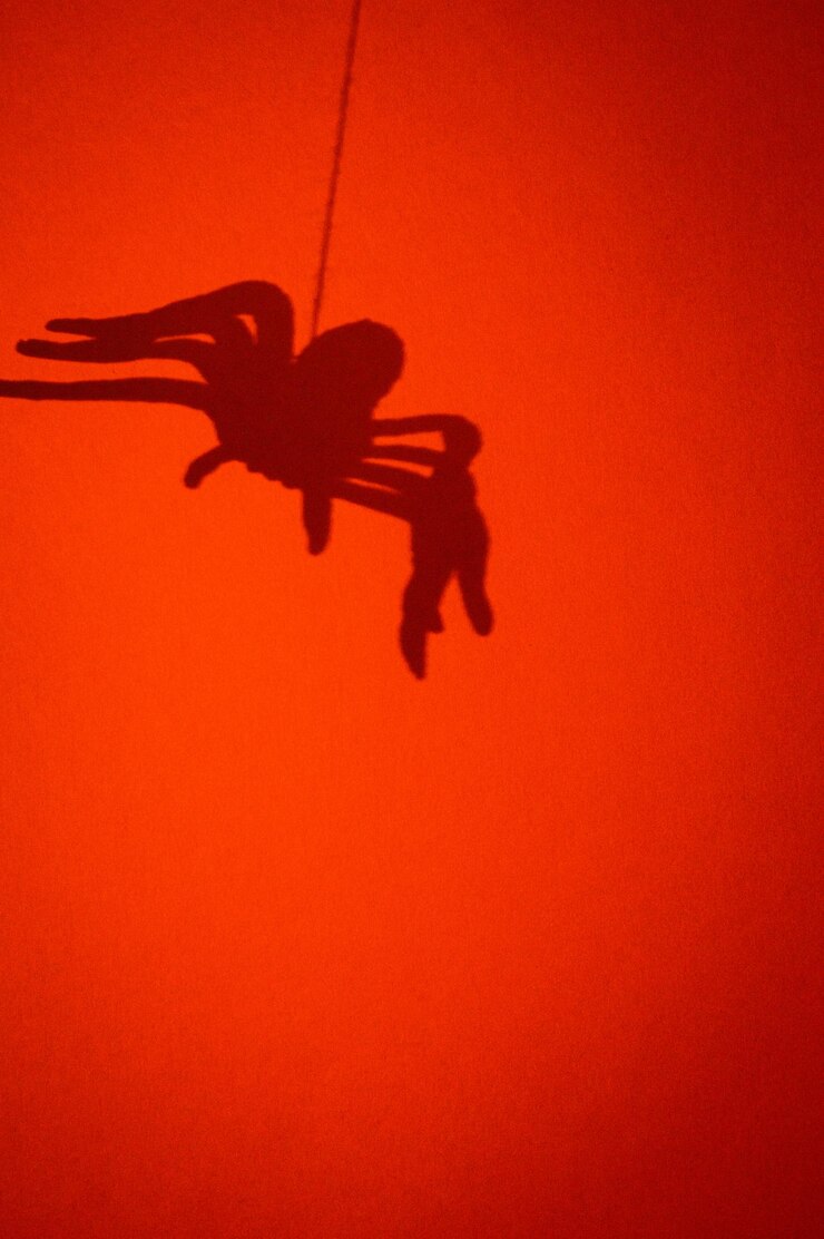 Foto uma aranha pendurada numa corda com uma aranha nela