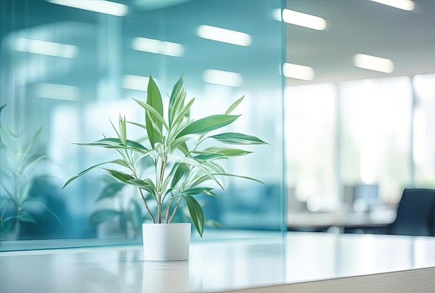 uma área de escritório com uma planta no estilo de bordas suaves e detalhes desfocados