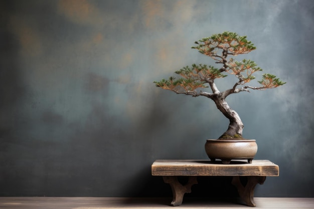 Uma árvore de bonsai em um suporte de madeira na frente de uma parede plana