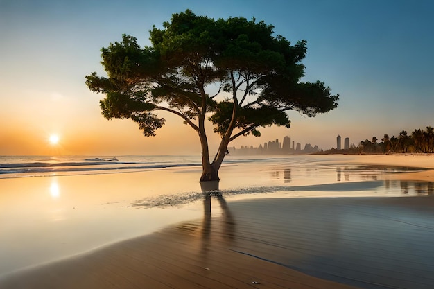 Uma árvore na praia ao pôr do sol