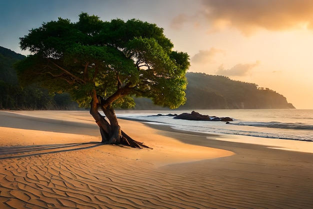 Uma árvore na praia ao pôr do sol