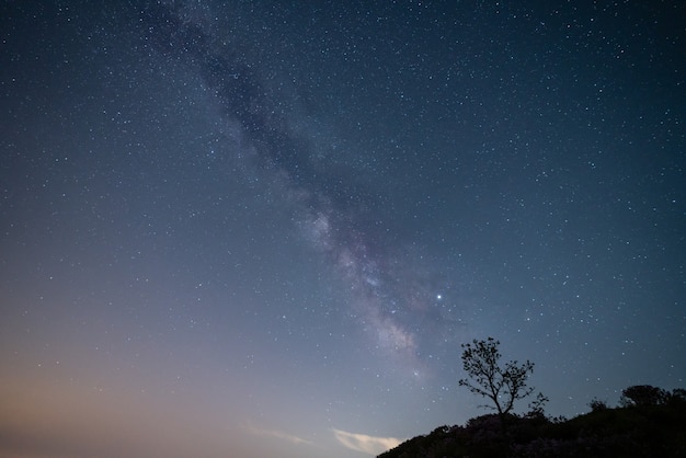 uma árvore solitária e a Via Láctea no céu noturno.