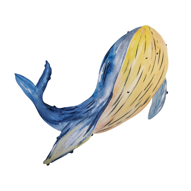 Uma baleia azul com cauda amarela e fundo branco.