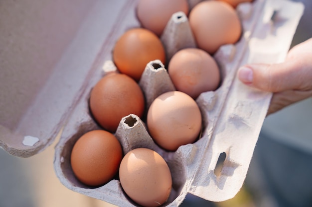 Uma bandeja de produtos agrícolas naturais de ovos de galinha