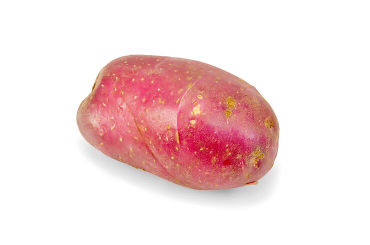 Foto uma batata vermelha inteira isolada no fundo branco
