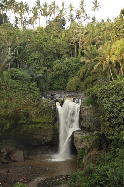 Uma bela cachoeira ao lado da vila de Ubud em Bali