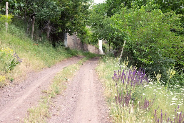 Uma bela estrada na floresta .