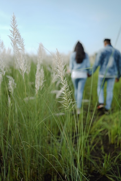Uma bela foto de um casal feliz de mãos dadas enquanto caminhava na grama verde... foco seletivo.