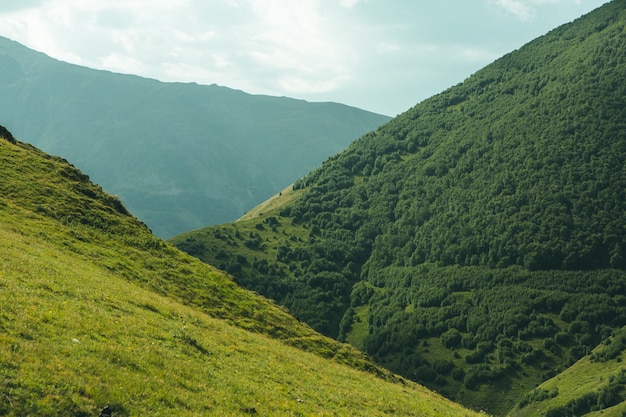 Foto uma bela fotografia de paisagem com as montanhas do cáucaso na geórgia