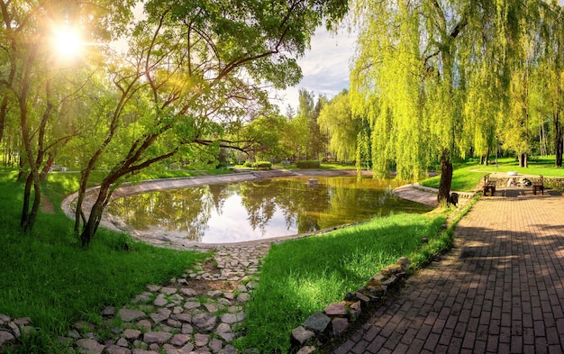 Uma bela paisagem colorida de primavera com um lago no parque cercado por folhagem verde de árvores à luz do sol e um caminho de pedra em primeiro plano