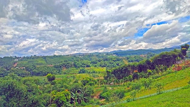 Uma bela paisagem com árvores, céu azul e plantações