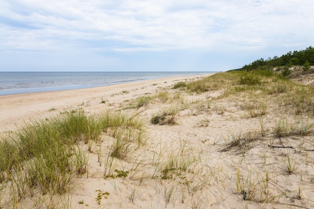 Uma bela paisagem com praia e dunas de areia perto do mar Báltico