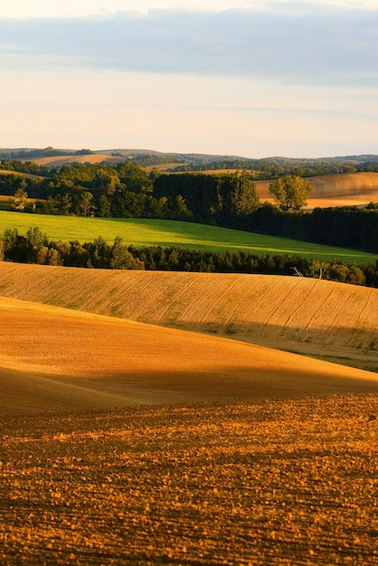 Uma bela paisagem das colinas