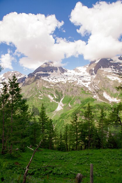 Uma bela paisagem das montanhas