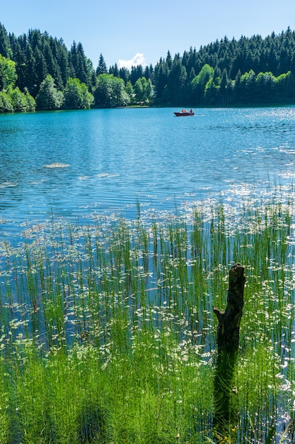 Uma bela paisagem de lago do parque natural borcka karagol