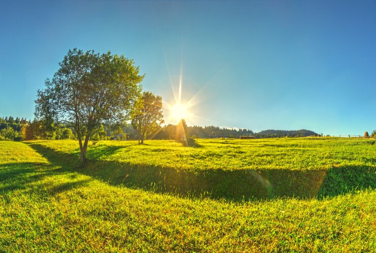 Foto uma bela paisagem de primavera com uma grama verde fresca e árvores na zona rural alpina montanhosa com céu azul e sol brilhante.