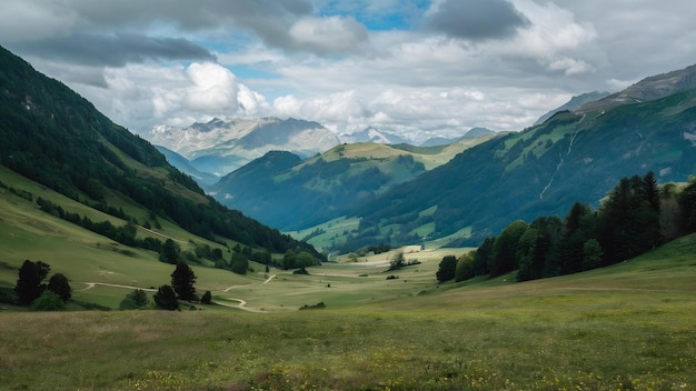 Uma bela paisagem de um vale verde perto das montanhas alpinas na Áustria sob o céu nublado