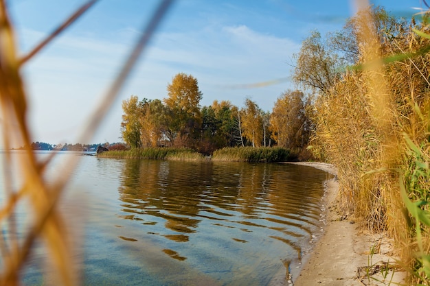 Uma bela paisagem rural de outono com um pequeno lago e árvores amarelas em um dia ensolarado.