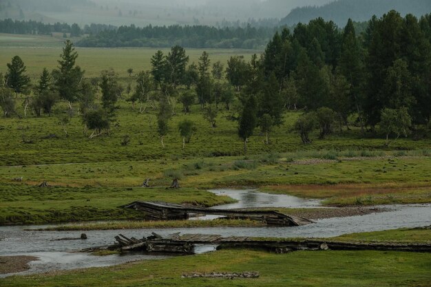 Uma bela paisagem siberiana com um rio num contexto de montanhas na república de altai