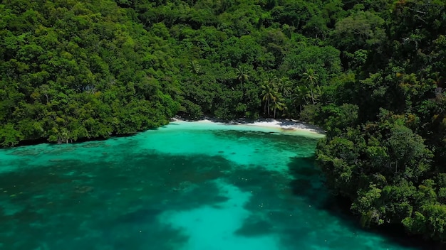 Uma bela vista da altura do vôo