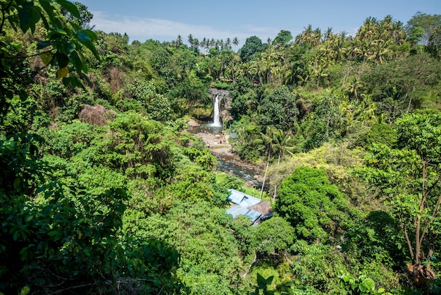 Uma bela vista da Cachoeira Tegenungan em Bali Indonésia