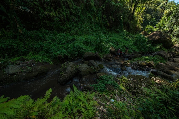 Uma bela vista da localização da trilha em Bali Indonésia